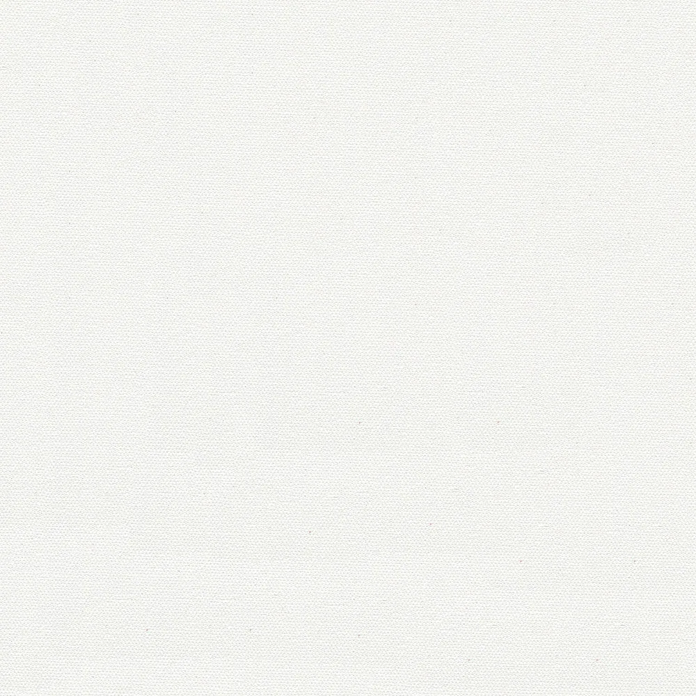 Arctic White