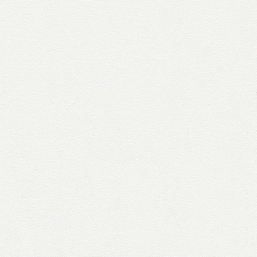 Arctic White