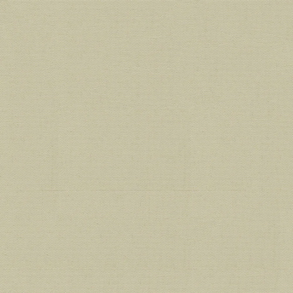 Top Gun 9 (Medium Weight) 62"w - Indian Birch 872