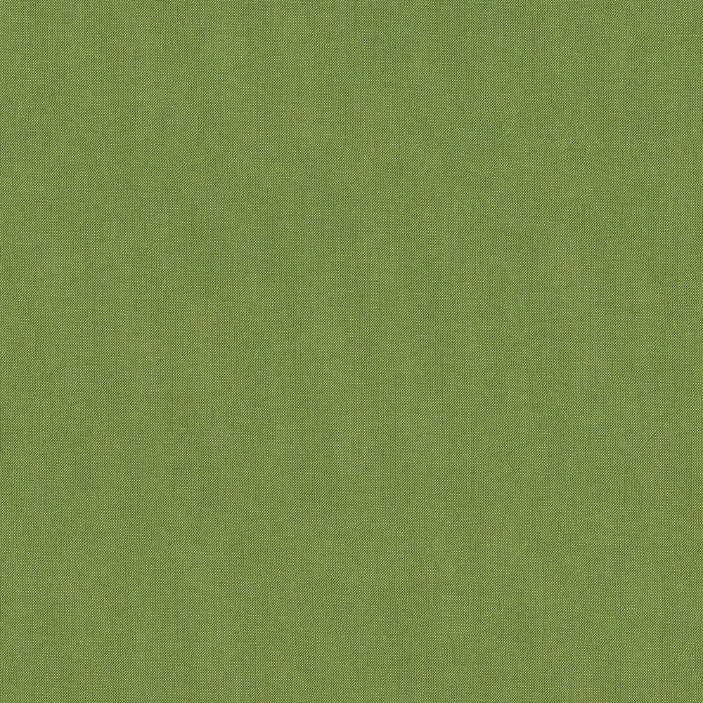 Cilantro