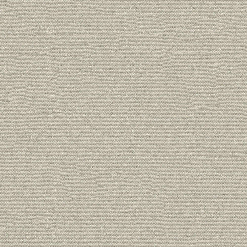 Indian Birch