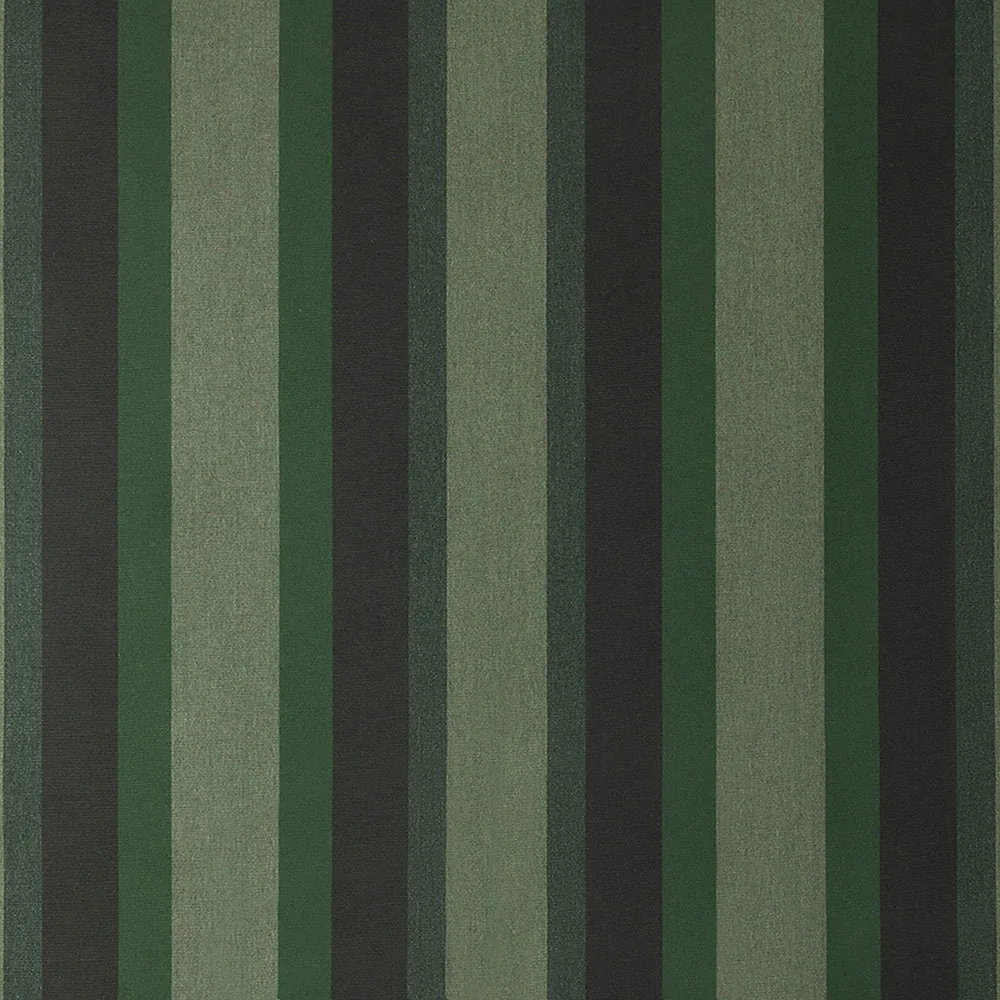 Marco Olive