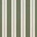 Fern Classic~