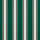 Forest Green Fancy