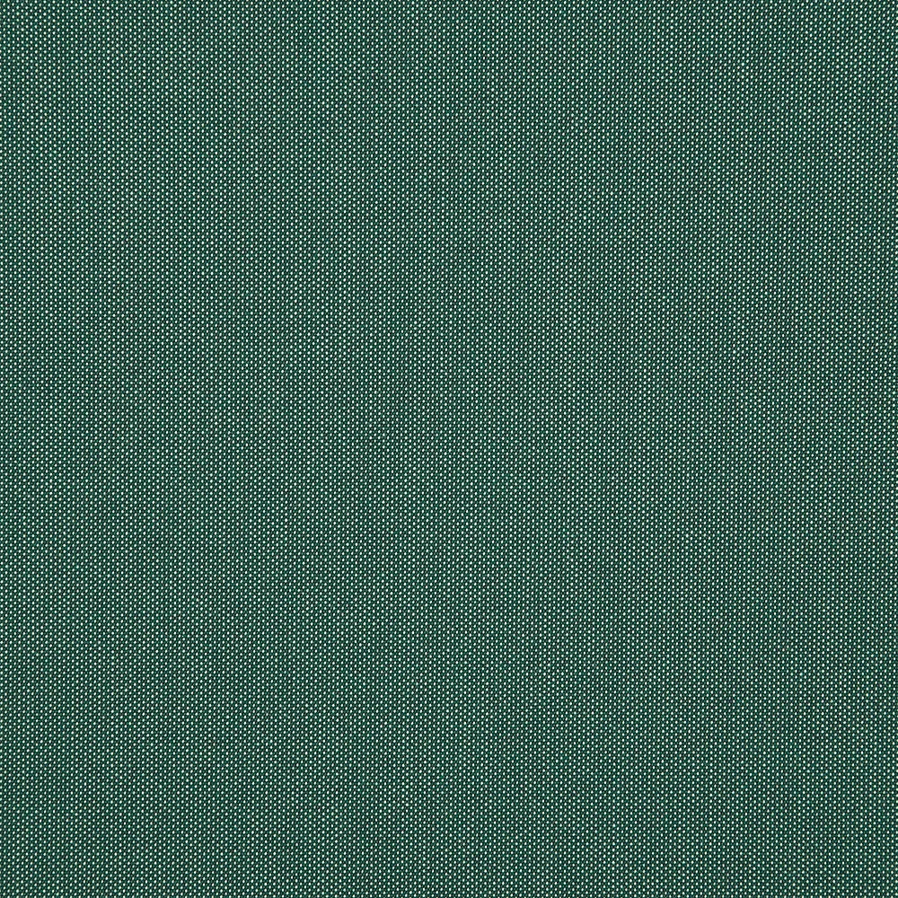 Tresco Eucalyptus