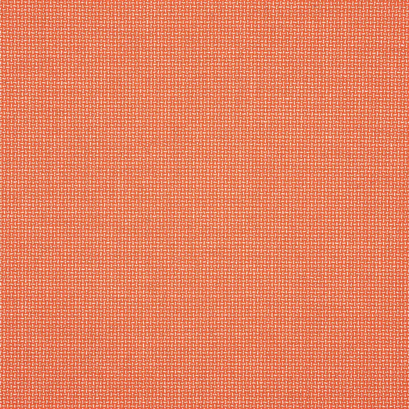 Guava