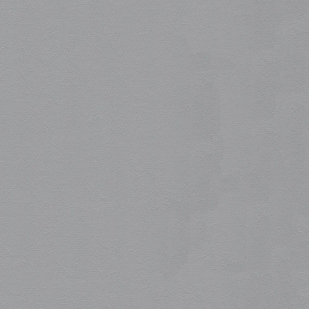 Seagull