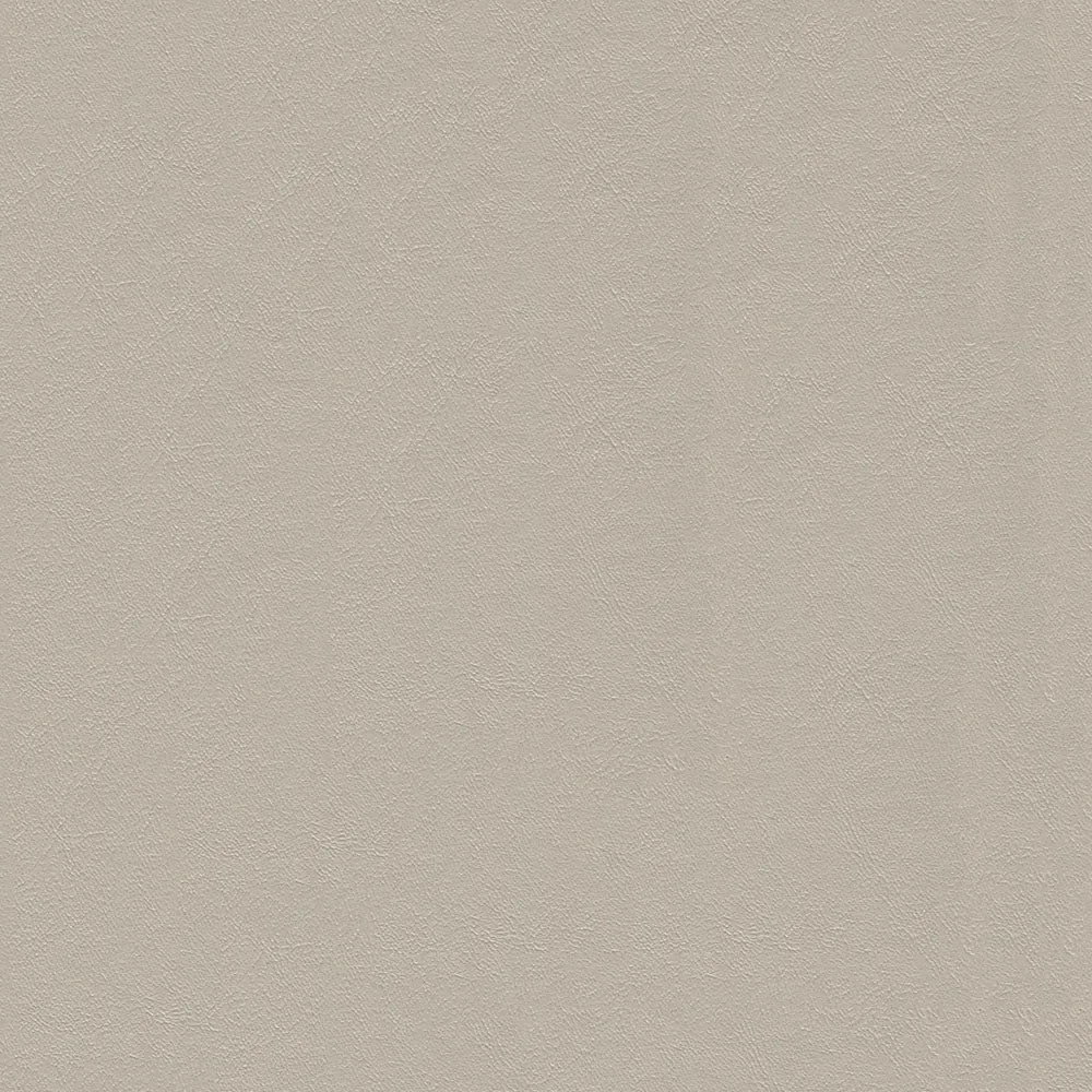 Oyster White