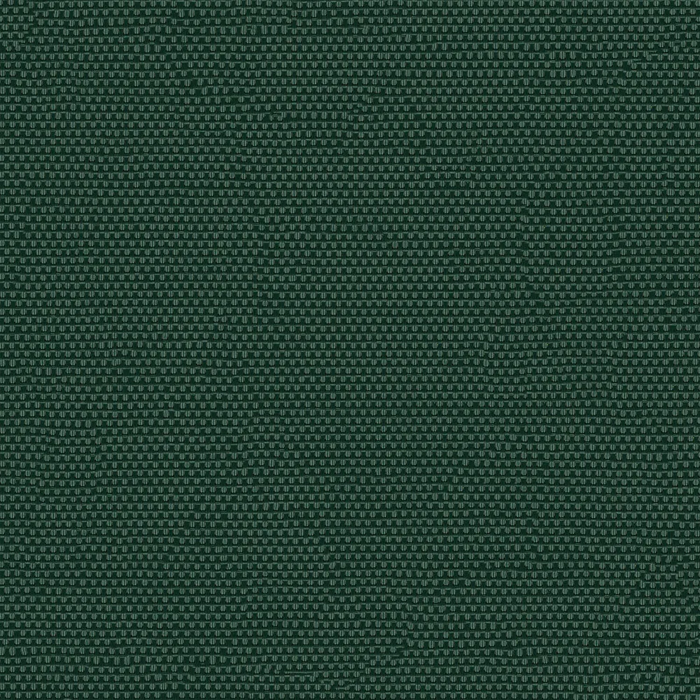 Holly Green 3007154