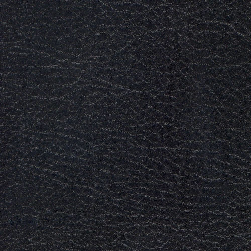 Coal