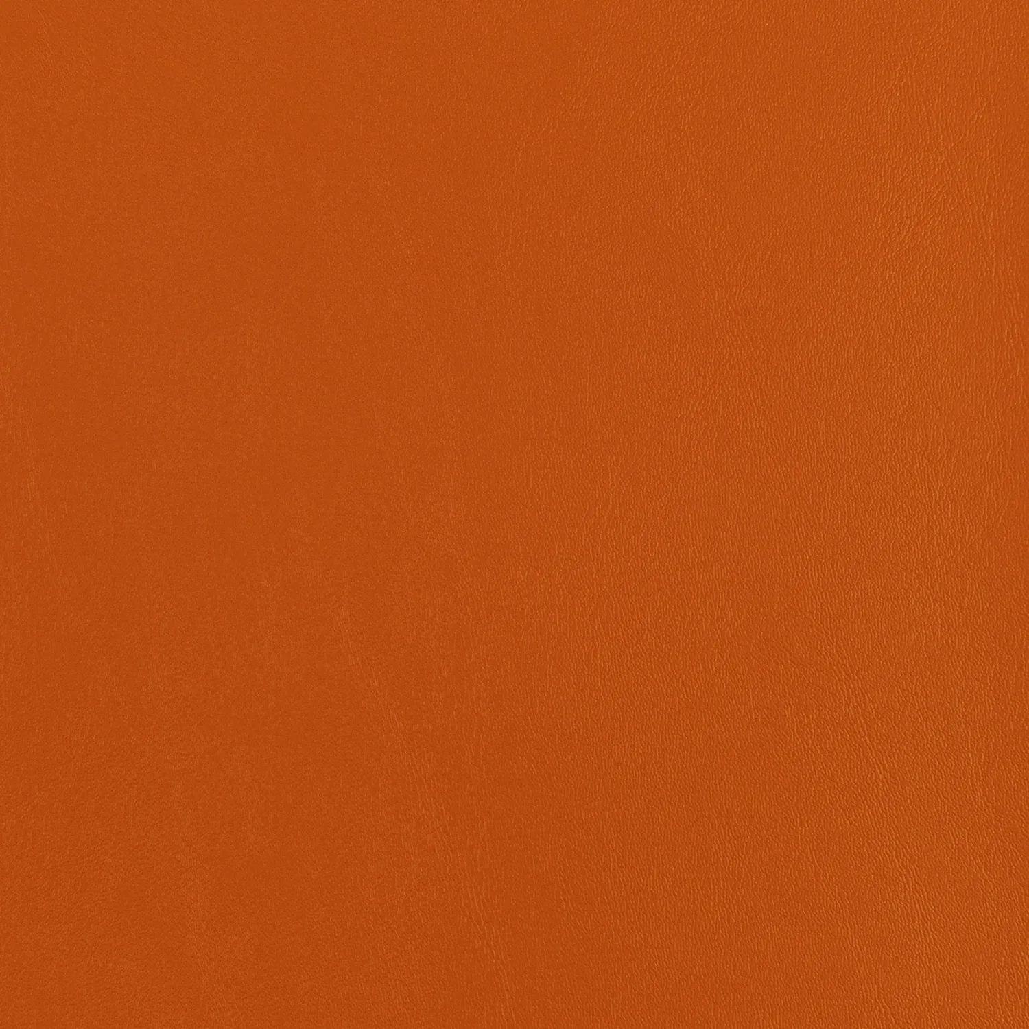 Marigold