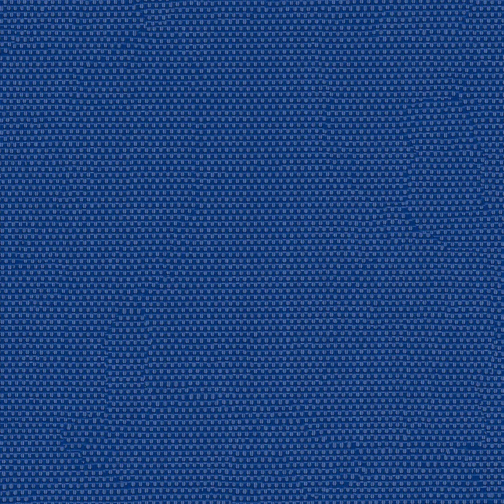Royal Blue 3007156