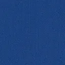 Royal Blue 3007156