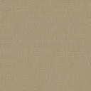 Stucco 3007145