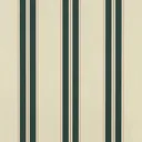 Sunbrella 46"w STRIPES Premium - Black Forest Fancy